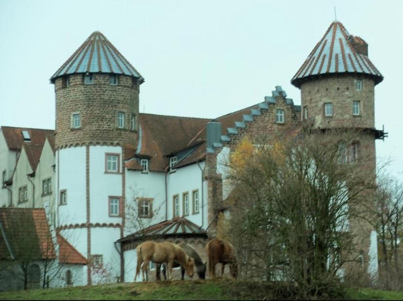 Luxus Appartement Im Schloss Fockelberg Dış mekan fotoğraf